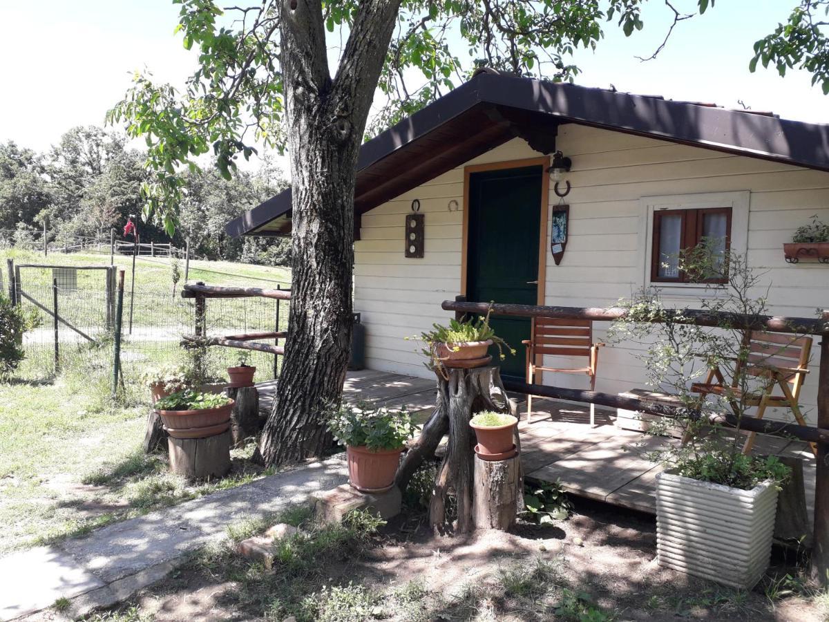 Il Casalino Bed & Breakfast Pianoro Exterior photo